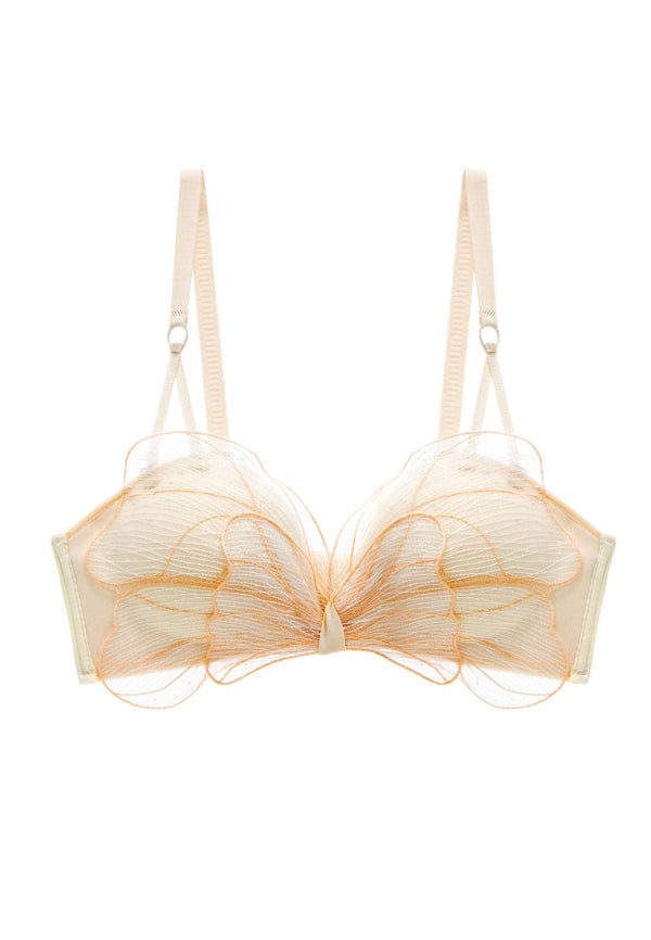 Eternal Bliss Padded Wired Lace Bra - Angel Wing