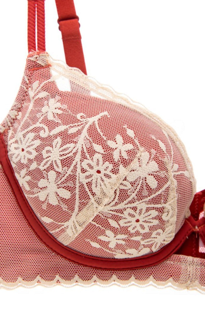 Elise Non-Wired Soft Lace Embroidery Push Up Bra
