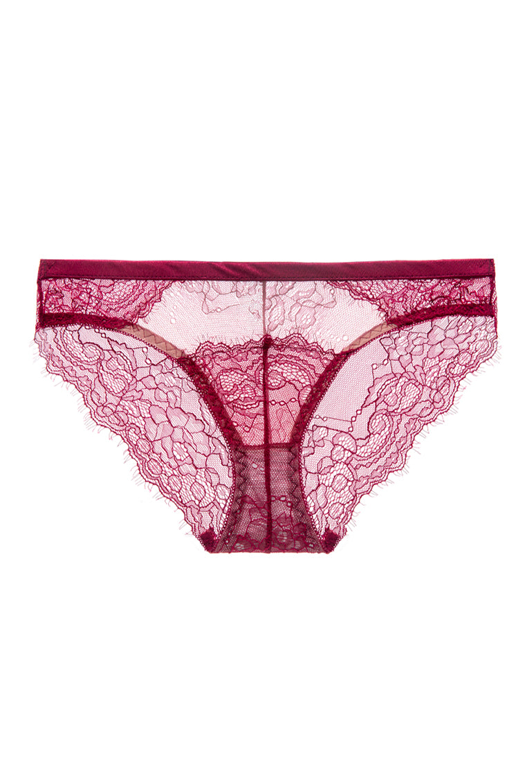 Brandy Sheer Soft Lace Brief