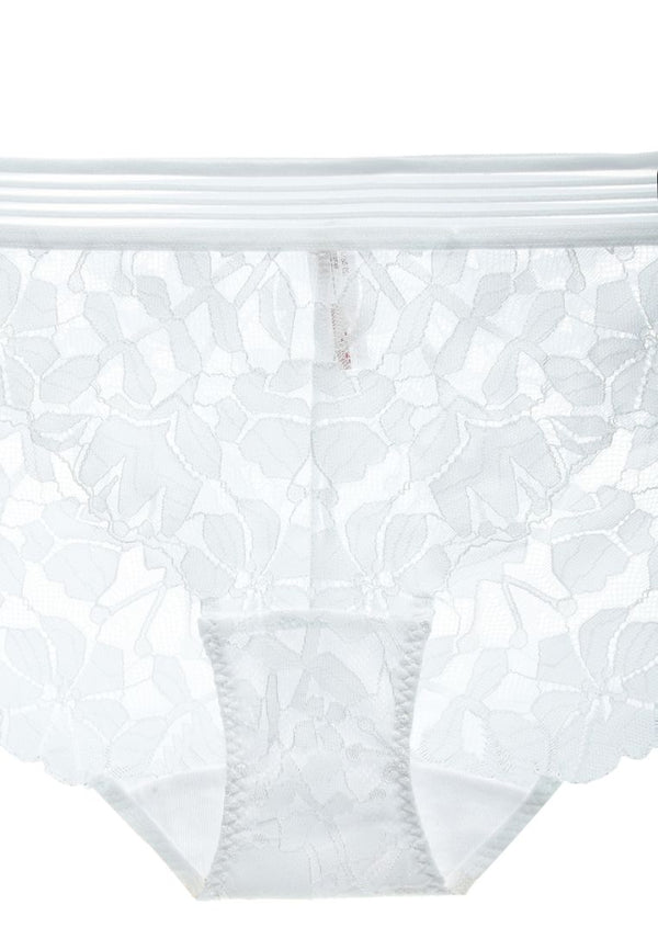 Francis Sheer Soft Cotton Lace Brief