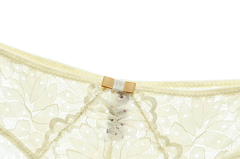 Deanna Sheer Soft Cotton Lace Brief